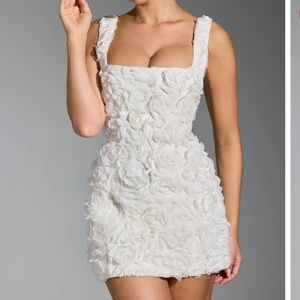 Oh Polly - POSY (US Size 4)
Floral-Appliqué Corset Mini Dress in White